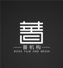 影视策划 连接创意与市场的艺术